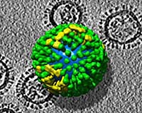 Scientists Simulate Pandemic Influenza Outbreak In Chicago