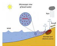 New tool better protects beachgoers from harmful bacteria levels