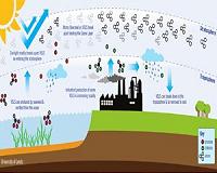 New ozone-destroying gases on the rise