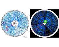 'Strange' glimpse into neutron stars and symmetry violation