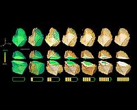 Slicing through materials with a new X-ray imaging technique