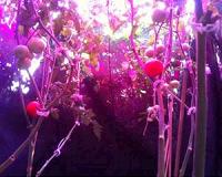 Light-emitting diode treatments outperform traditional lighting methods