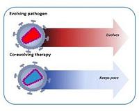 Co-evolving antivirals aim to keep ahead of fast-changing viruses