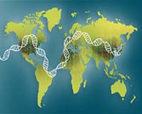 Giant genome sequencing project announced