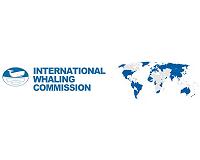Whaling watchdog concludes discordant meeting