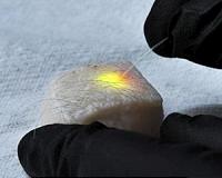 Intracellular microlasers could label a trillion individual cells