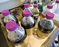Scientists harness CO2 to consolidate biofuel production process