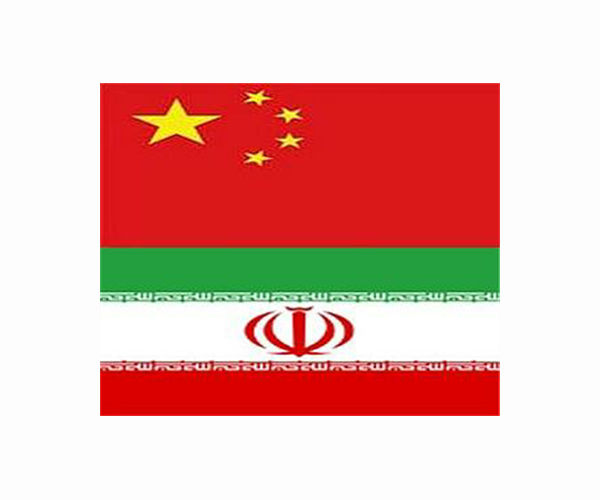 FM Wang says China pledges 'support' for Iran