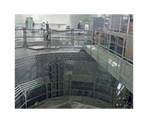 Iran denies nuclear plant computers among 30,000 hit by worm