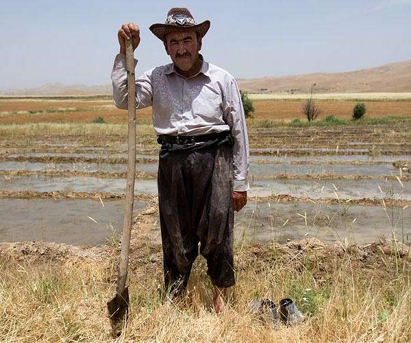 Water-stressed Iraq dries up fish farms