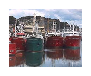 EU closes bluefin tuna fishing season early