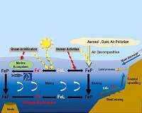 Is a great iron fertilization experiment already underway?