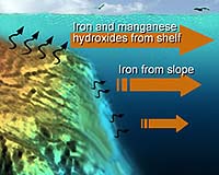 How Iron Gets Into The North Pacific