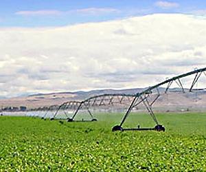 Irrigation's Cooling Effects May Mask Warming - For Now