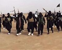 Despite Raqa victory, US says IS fight not over