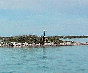 Survey Finds More Sea Islands Disappear In China