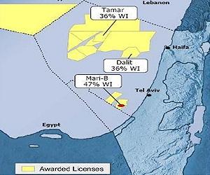 Israel oil find sharpens Med energy scrap