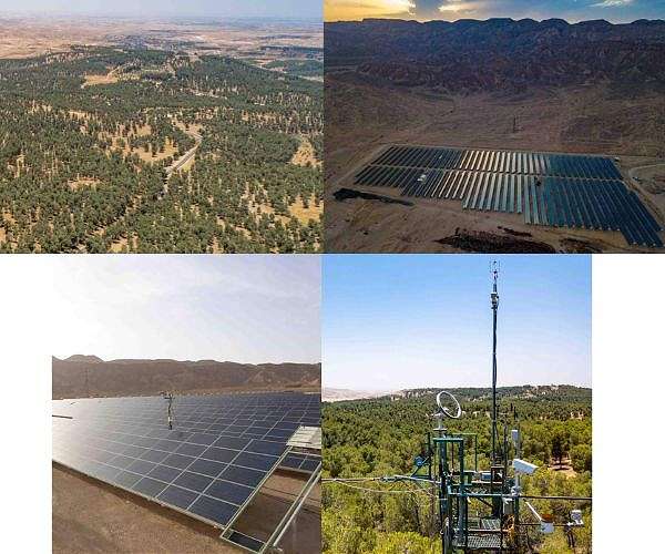 The solar forest