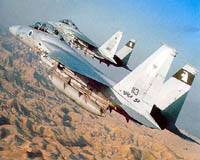Israeli air strike kills Palestinian in Gaza: medics