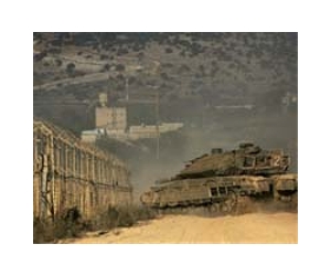 Israeli troops detain Lebanese shepherd: security source
