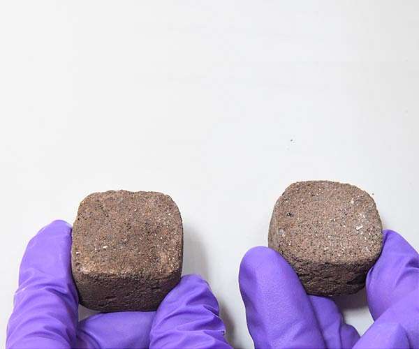 Using bacteria to build settlements on Mars