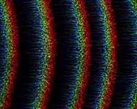 Aboard the ISS, researchers investigate complex dust behavior in plasmas