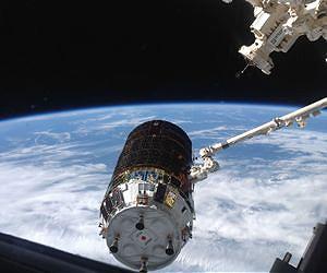 ISS Releases a White Stork and Awaits a Swan