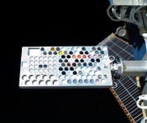 Weekly recap from the International Space Station expedition lead scientist