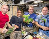The challenge of space gardening: One giant 'leaf' for mankind