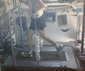 NASA and International Partners Approve Year Long ISS Stay