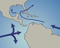 Isthmus Of Panama Formed As Result Of Plate Tectonics