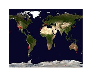 IYA2009 - Largest Science Education Event In History