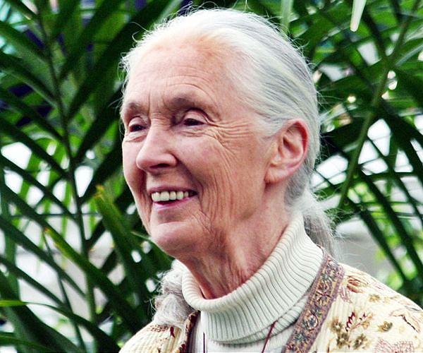 Jane Goodall warns on 'false promises' at UN biodiversity meet