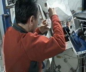 Students Participate in Plant Investigation With Space Station Crew