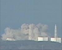 Fukushima disaster was preventable
