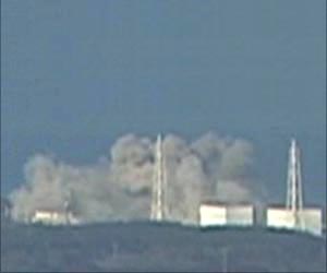 Reactor design at Japanese plant raises questions
