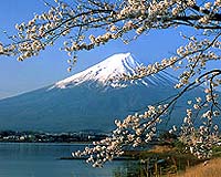 Japan-inspired 'water-house' slashes energy needs