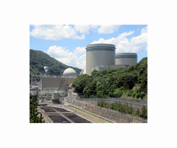 Japan reactor shuts down after alert, no radiation rise seen