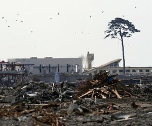 Munich Re reports return to profit after tsunami blow