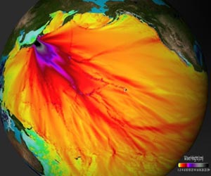 Japan tsunami bones to wash up in US: oceanographer