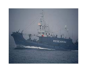 US, Australia, NZ 'disappointed' on Japan whale hunt