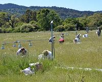 Grassland tuned to present suffers in a warmer future