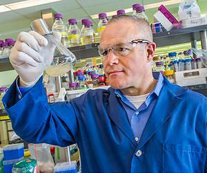 Less Toxic Metabolites, More Chemical Product