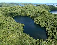 Taiwan steps in after China turns off tourist taps to Palau