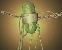 Scientists develop strategy to contain GMOs to the lab