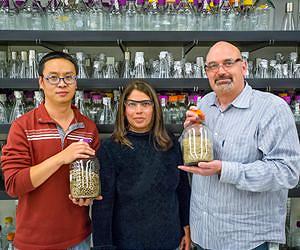 Biofuels Blend Right In