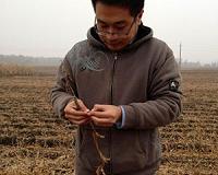 China's state grain buyer resumes US soybean purchases