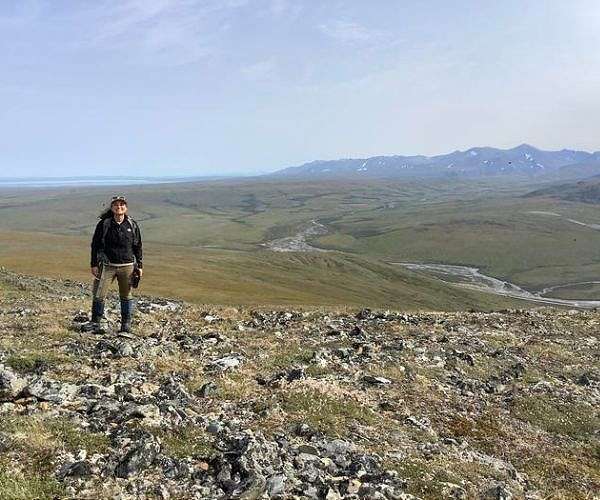Will Climate Change Turn the Arctic Green?