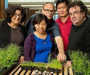 Smoke signals: How burning plants tell seeds to rise from the ashes