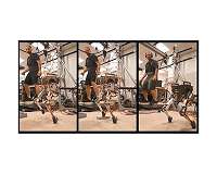 Two-legged robot mimics human balance while running and jumping